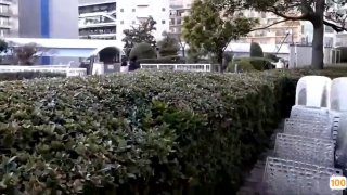 国产精品在线拍首,成人视频高清免费观看